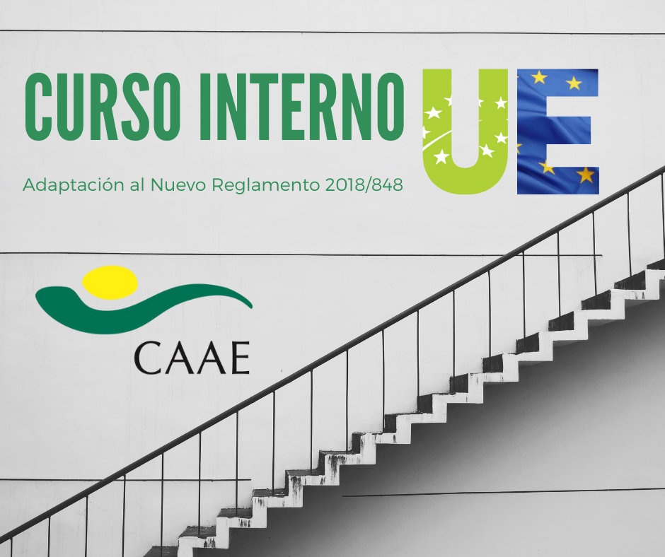 caae: Todos los cursos